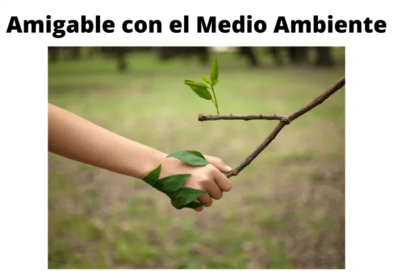 Amigable con el medio Ambiente